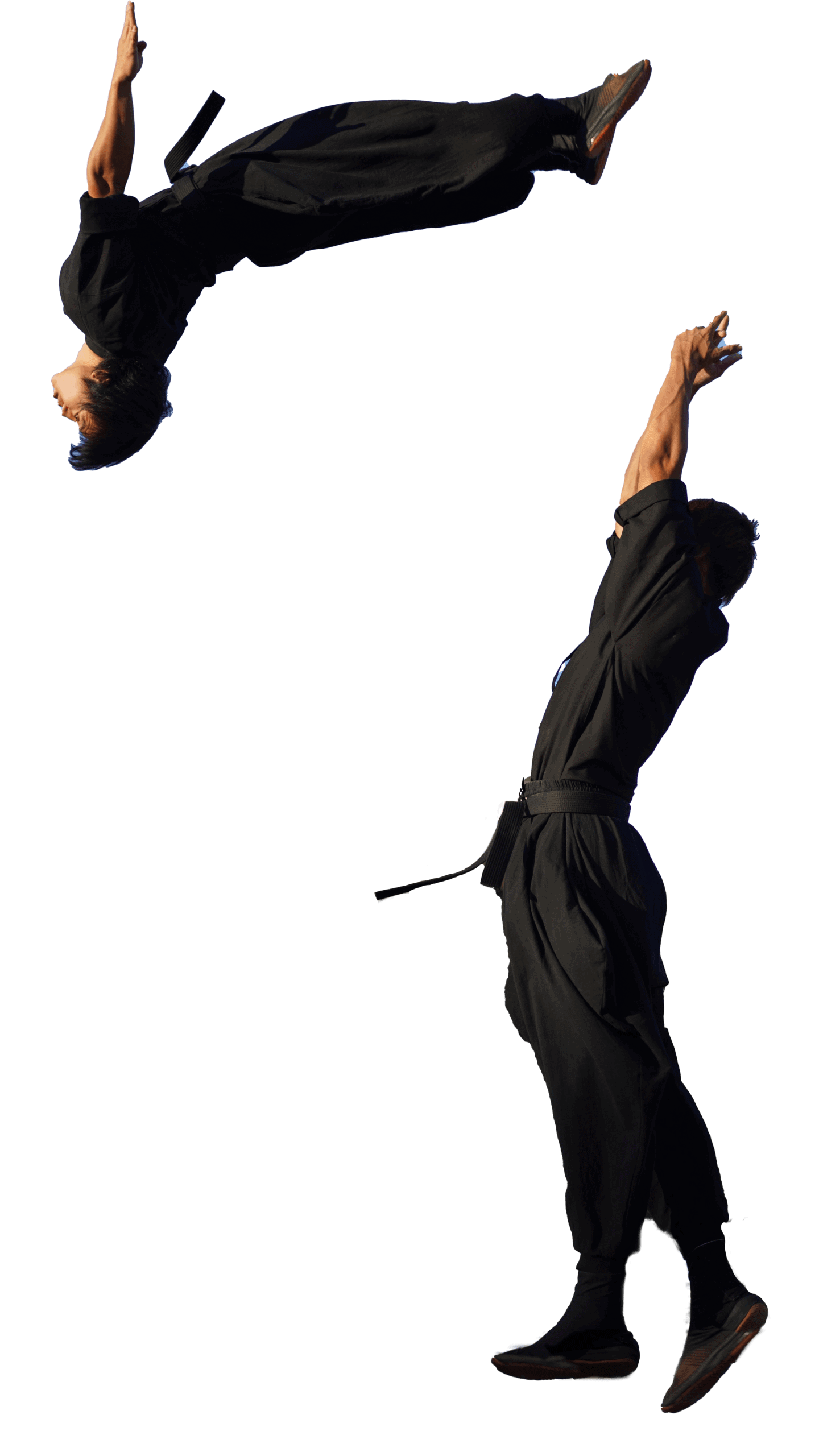 Marble ninja